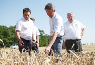 Рекордный урожай зерна в России