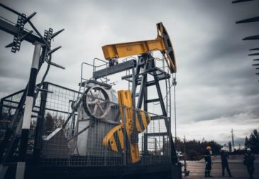 Правительство отпустило Роснефть