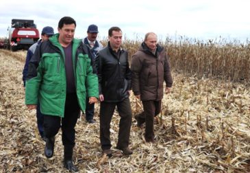 Россия соберет рекордный за всю историю урожай зерна – 130 млн тонн