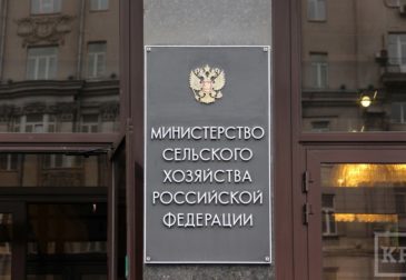 Рекордный экспорт: Россия снова кормит весь мир